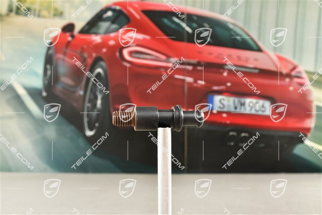 Pin, Locking mechanism, Backrest, Coupe / Targa, L=R