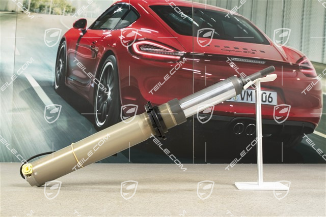 Stossdämpfer / Schwingungsdämpfer, VA, PASM, Mit Tieferlegung, L=R