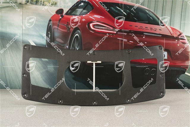 991.2 GT3 inner shell, bonnet / rear spoiler