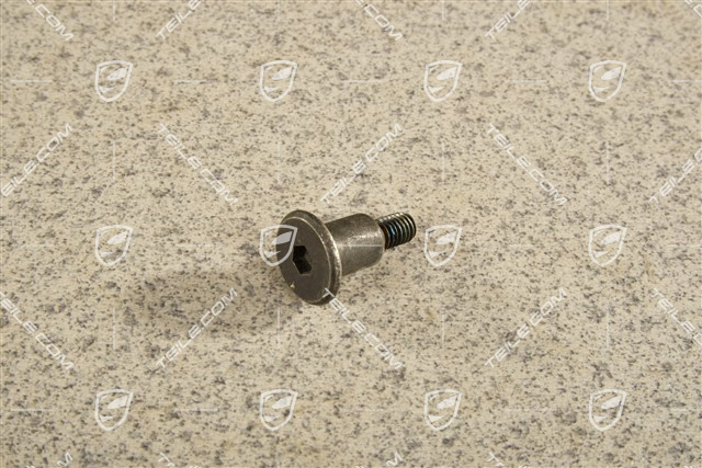 Lagerschraube M6 x23 Lagerschraube M6 x23