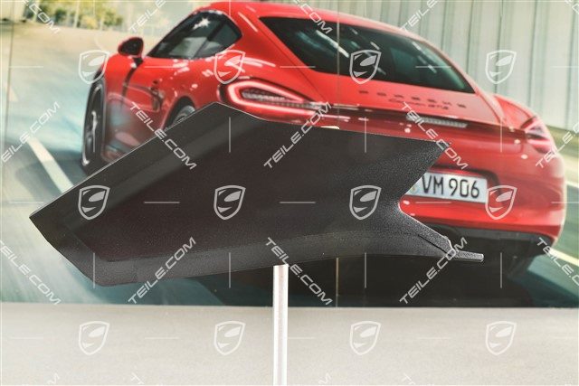 Rear light cover, L