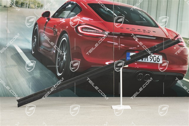 Zierleiste, außen, Targa, R