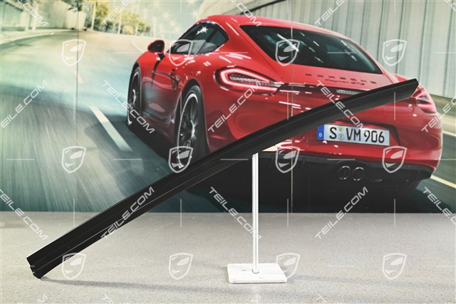 Zierleiste / Halteschiene, Targa, R