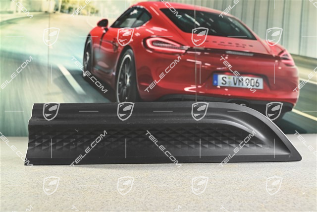 Rear door cover / trim, Matt black, R