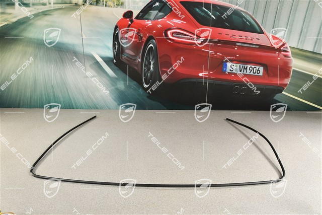 Zierrahmen für Frontscheibe