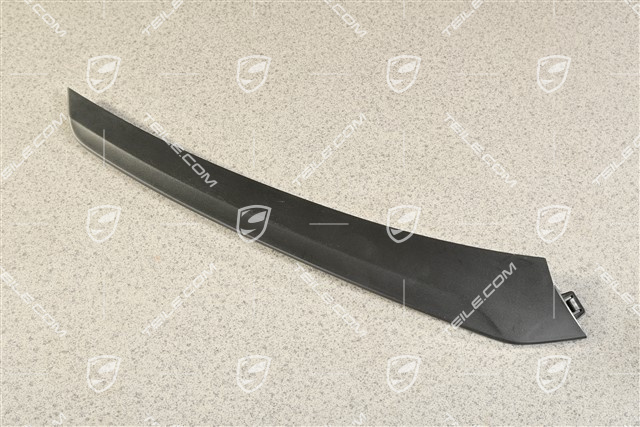 Disc / trim cover for front bumper retaining frame, Upper part, Black matte, Turbo, R
