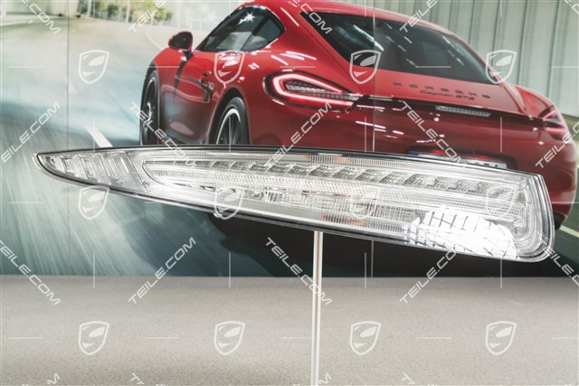 Rear light, in clear glass look (white), rear fog light left, USA, L