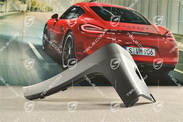 GT3RS Verkleidung seitlich, R