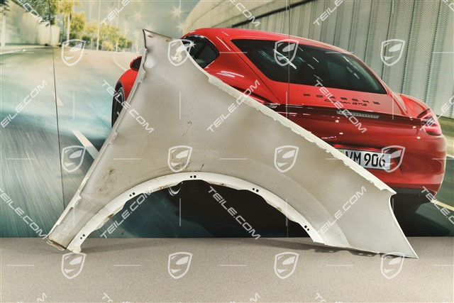 Fender / Wing, damaged, L