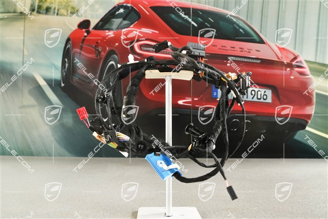 Wiązka elektryczna, drzwi pasażera, BOSE, R