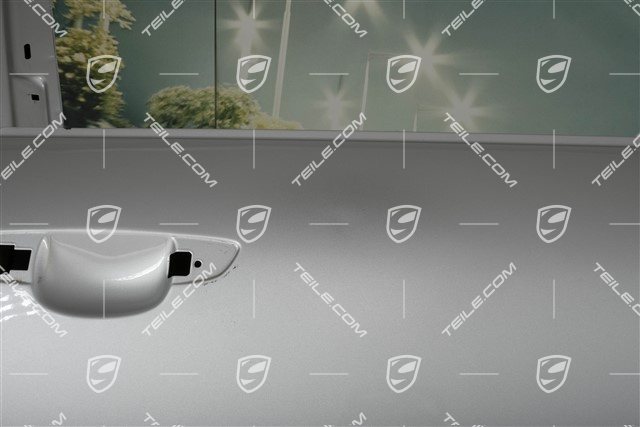 Vordertür, leicht beschädigt, R