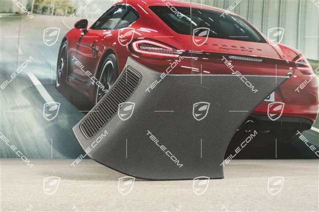 Verkleidung von D-Säule, Titanschwarz, L