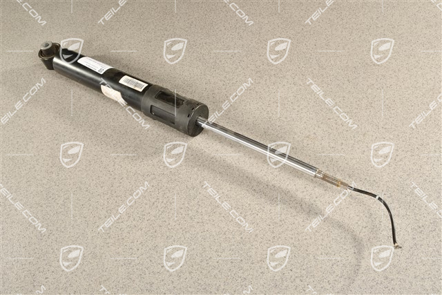 Schwingungsdämpfer, Standard, PASM, L=R