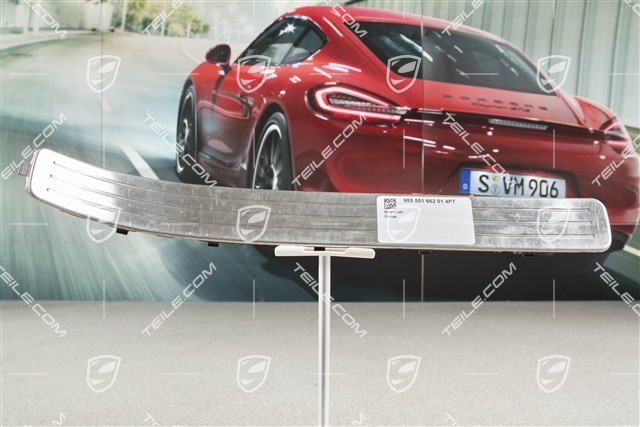 Blende, Einstiegleiste, Hinten, Edelstahl, R