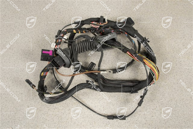 Instalacja elektryczna tylnej klapy, TV-Tuner, L