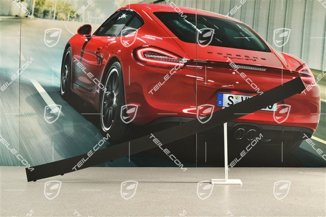 Rear spoiler, cover panel