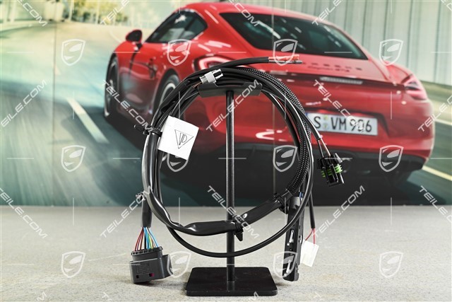 Wiązka elektryczna z mikroprzełącznikiem, coupé