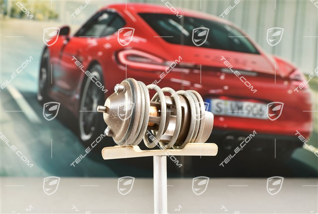 Thermostateinsatz, 3,6L