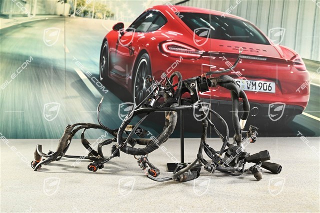 Kabelstrang (abgeschnittener Stecker)