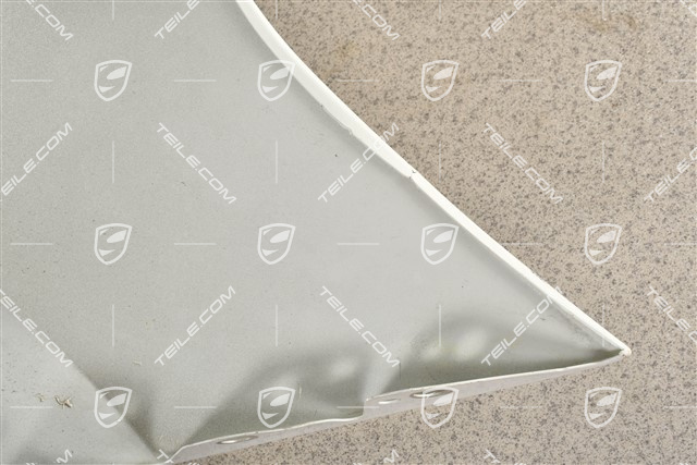 Fender / Wing, damaged, L