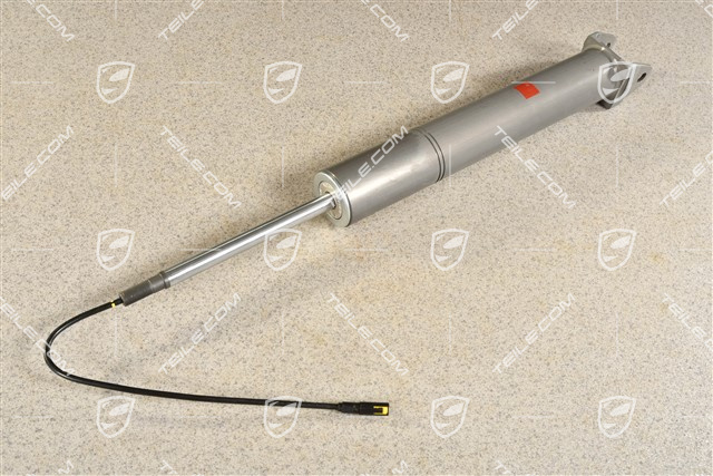 Stoßdämpfer, C2/C2S/C4/C4S, Coupe, Cabrio, Sportfahrwerk, PASM (elektr. Regelung), L=R