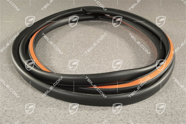 Türdichtung, aussen, hinten, L=R