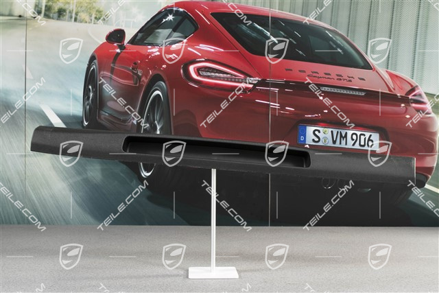 Verkleidung vom Schweller, R