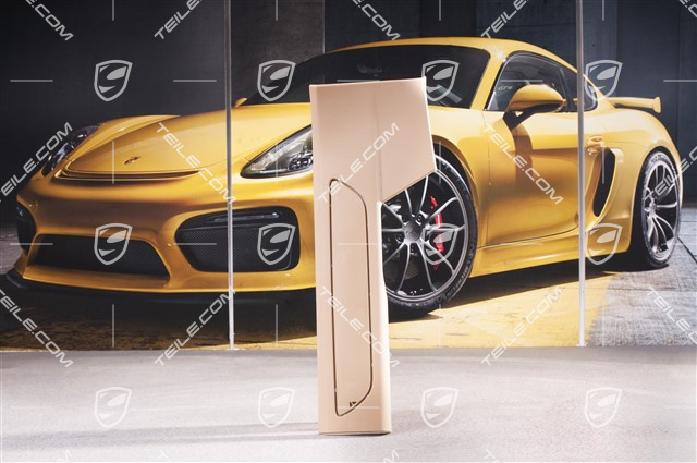 Einstiegleiste / Verkleidung, Luxorbeige, hinten, Kurzer Radstand, R