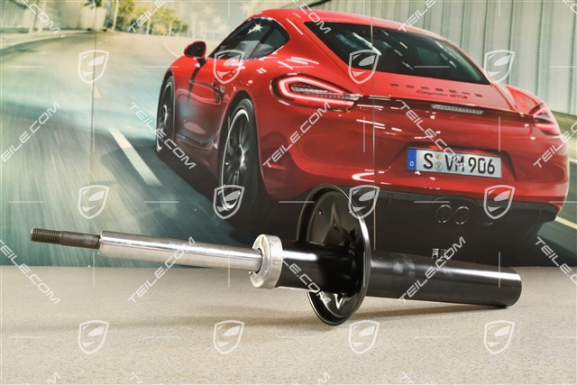 Stossdämpfer, Serienfahrwerk, L=R