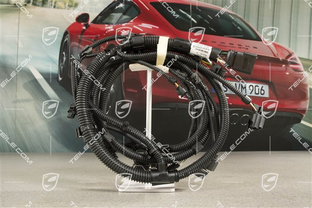 GTS / Turbo, Front bumper wiring harness, PDC / Park assist / parking sensors