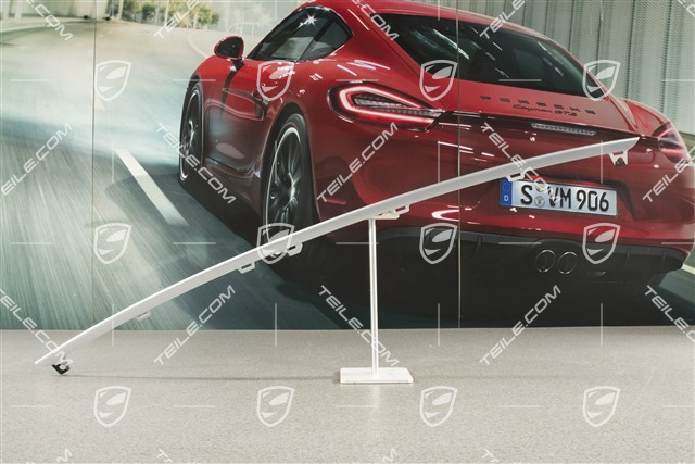 Centre disc / trim for front bumper retaining frame centre, Silver