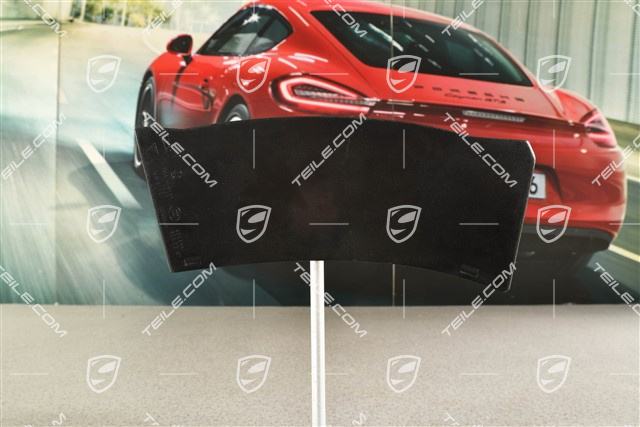 Rear light cover, outer, L