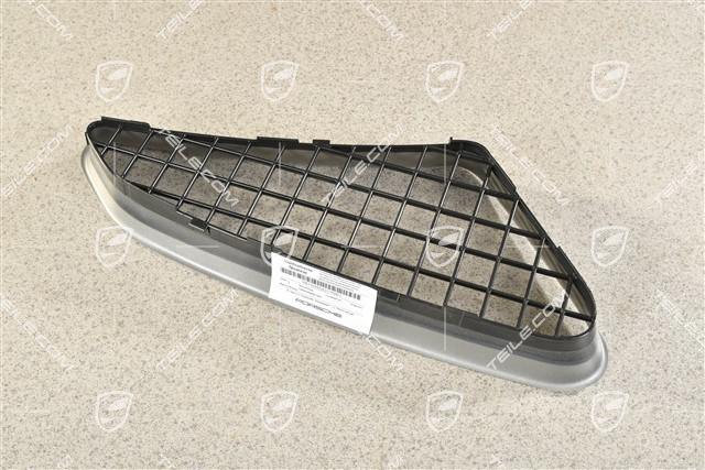 Air inlet grille, Titanium-Metallic, Spyder, R