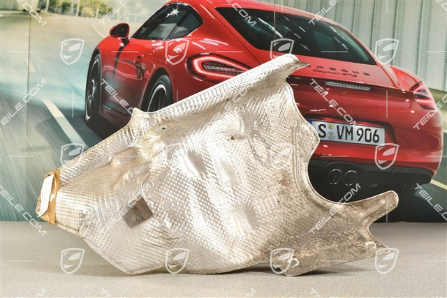 Hitzeschutz seitlich, C2 / C4 / GTS, R