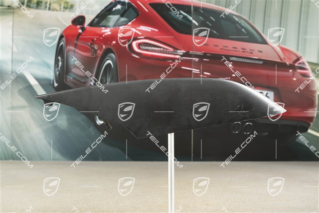 Front bumper disc / trim, lacquered, R