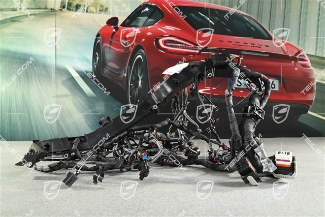 Engine wiring harness, w/o PDCC