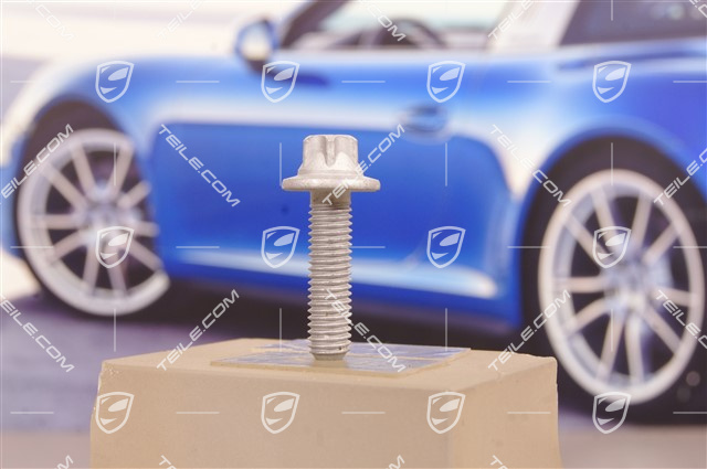 Torx screw bolt BM8 x 30