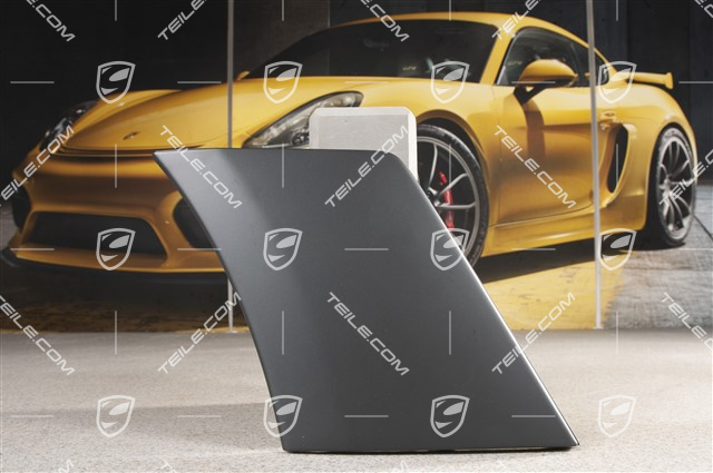 Trim, lateral, Black matte, GT2RS, L