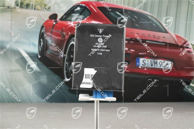 Steuergerät für elektronische Dämpferregelung PASM, L=R