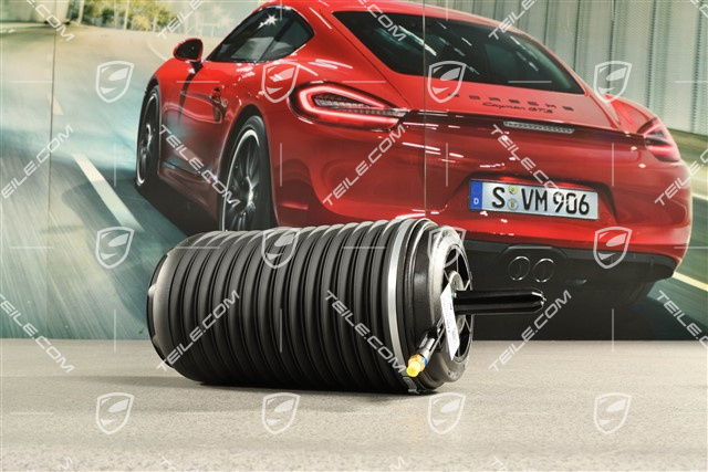 Luftfeder, hinterachse, PASM, R