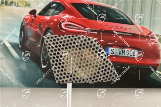 Schalttafelverkleidung, Lautsprecherblende Hochtonlautsprecher, Platingrau, R