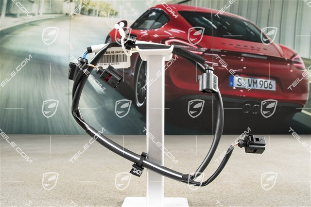 Wiring harness, rear