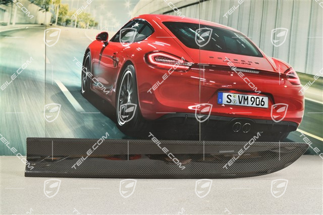 Front door cover / trim, Carbon, L