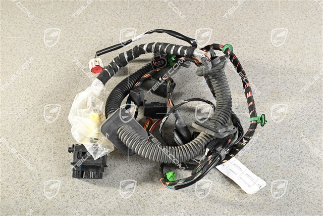 Wiring harness, Assembly frame, passenger's door, R