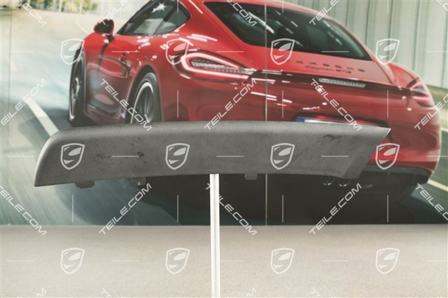 Front bumper with ACC, disc / trim centre-lower, satin black