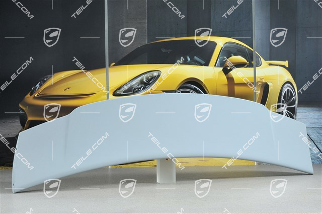GT3 rear spoiler / wing, upper part