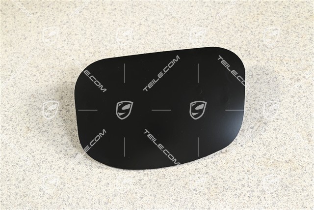 Fog Light Lamp Cover Front, R