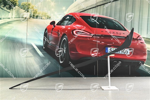 Steg / Lamelle, Heckstoßstange Untere Abdeckung / Diffusor, GT3 RS, R