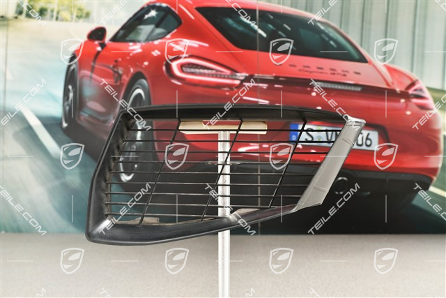 Air inlet protective grille, L