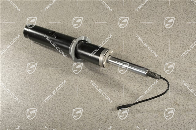 Stossdämpfer / Schwingungsdämpfer, VA, PASM, PDCC, Ohne Tieferlegung, L=R